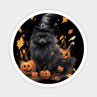 Schipperke Halloween Design Magnet